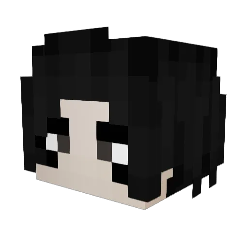 Bman684 Minecraft avatar head, 3D render