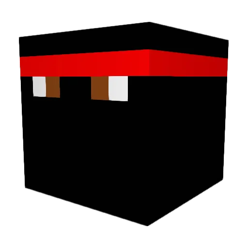 Bmg2006 Minecraft avatar head, 3D render