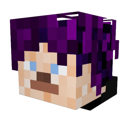 Bmgrim13 Minecraft avatar head, 3D render