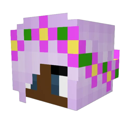 Bmike_223 Minecraft avatar head, 3D render