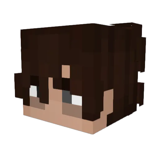 Bmw_Pengin Minecraft avatar head, 3D render
