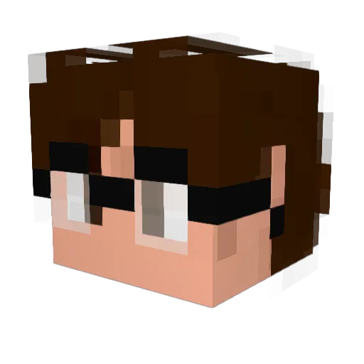 Bmxzss Minecraft avatar head, 3D render