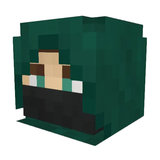 BnB_Fly Minecraft avatar head, 3D render