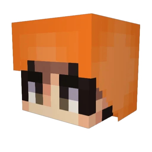 BnFenix Minecraft avatar head, 3D render