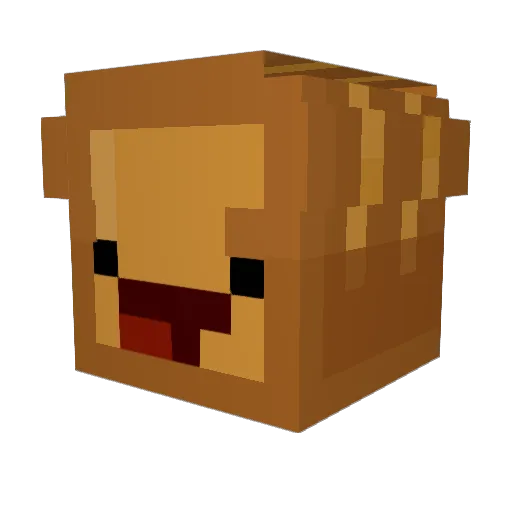 BnTost_ Minecraft avatar head, 3D render