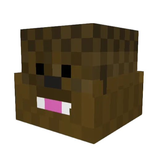 Bnam_Jones Minecraft avatar head, 3D render