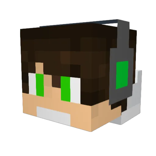 Bnds_ Minecraft avatar head, 3D render