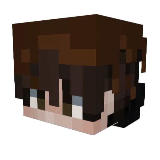 Bnjidi Minecraft avatar head, 3D render