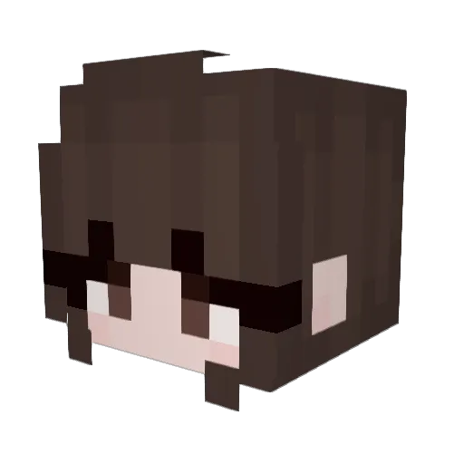 BnnSplt Minecraft avatar head, 3D render