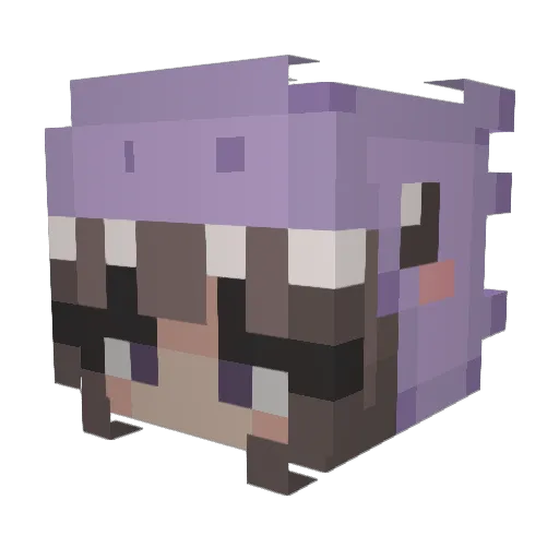 Bnuuy27 Minecraft avatar head, 3D render