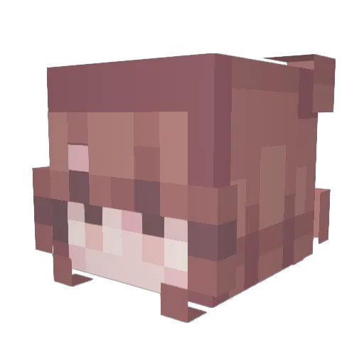 Bnyburg22 Minecraft avatar head, 3D render