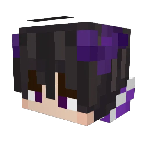 Bo1_ Minecraft avatar head, 3D render