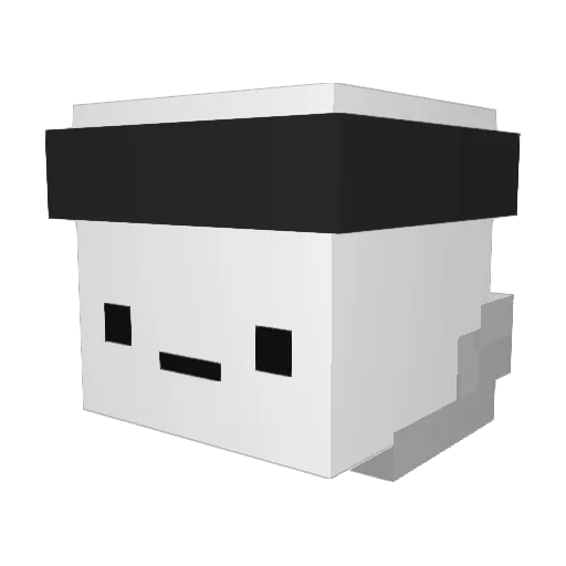 Bo3Bo3 Minecraft avatar head, 3D render