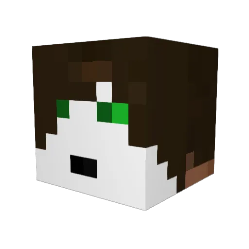 Bo893bby Minecraft avatar head, 3D render
