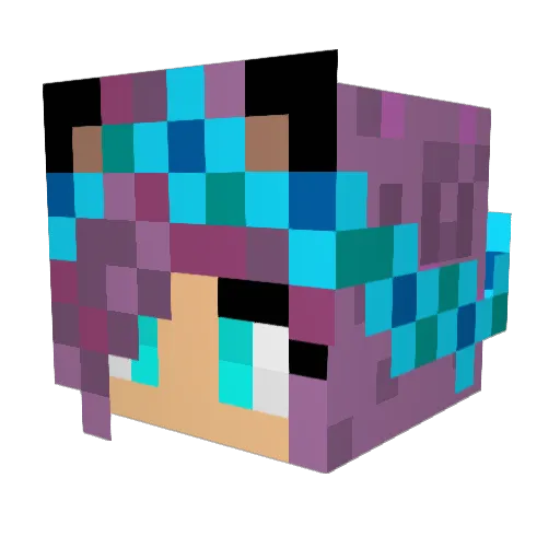 Bo9u4ka Minecraft avatar head, 3D render