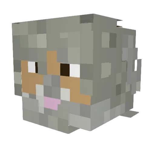 BoBFreD Minecraft avatar head, 3D render
