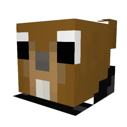 BoBer_BoB_PL Minecraft avatar head, 3D render