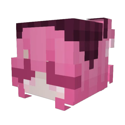 BoKeMaRy Minecraft avatar head, 3D render