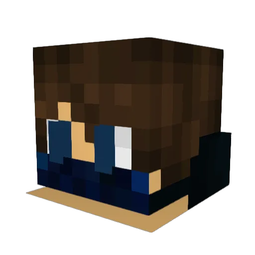 BoNoBo_AfFe Minecraft avatar head, 3D render