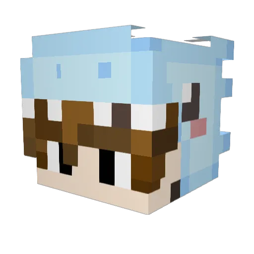 BoOpLEs05 Minecraft avatar head, 3D render