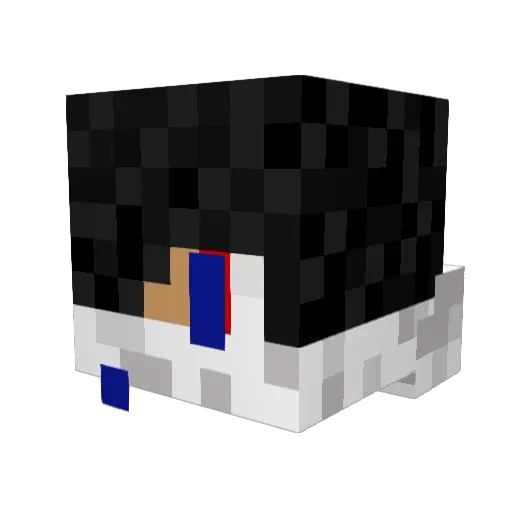 BoStaffNinja Minecraft avatar head, 3D render