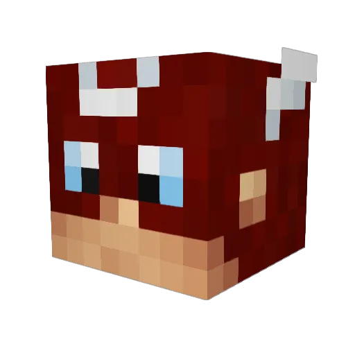 BoTheCreeper Minecraft avatar head, 3D render