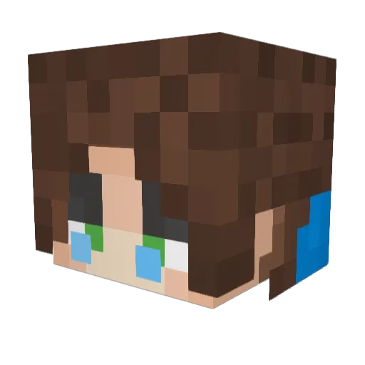 BoXer_YT Minecraft avatar head, 3D render