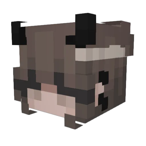 Bo_Brantze Minecraft avatar head, 3D render