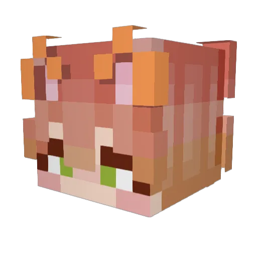 BoaTheSnake Minecraft avatar head, 3D render