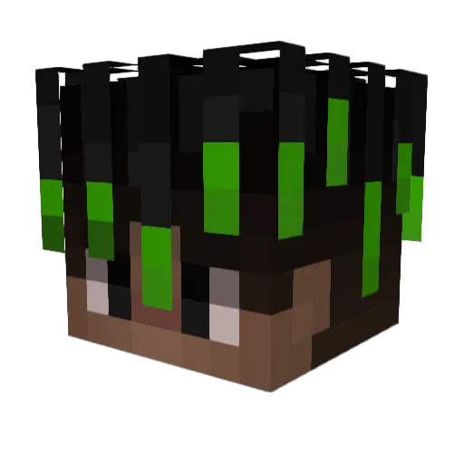 Boad Minecraft avatar head, 3D render