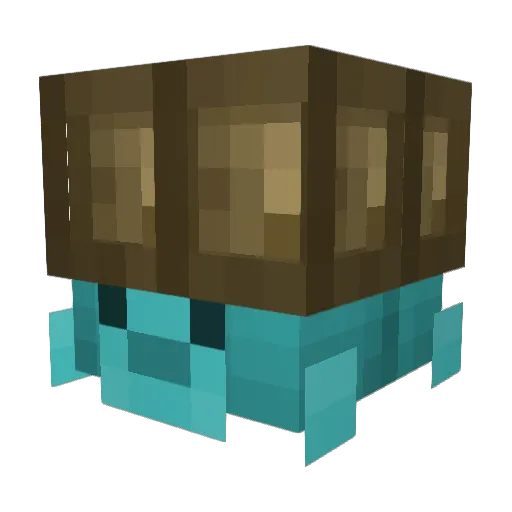 BoakEisTurtle Minecraft avatar head, 3D render