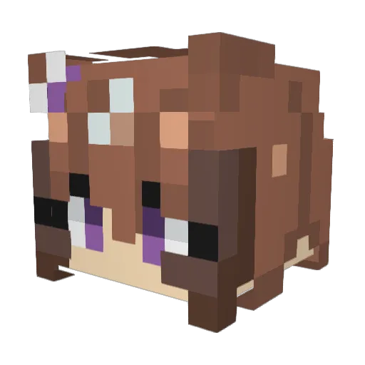 Boardia Minecraft avatar head, 3D render