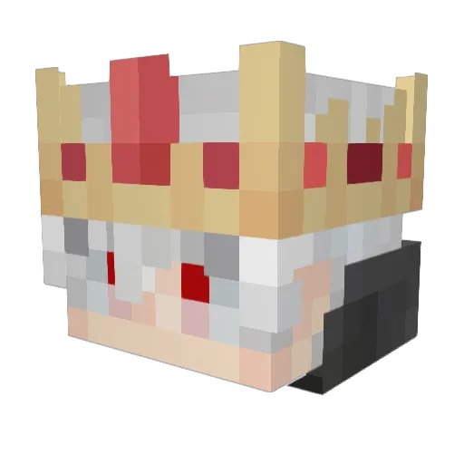 Boardock Minecraft avatar head, 3D render