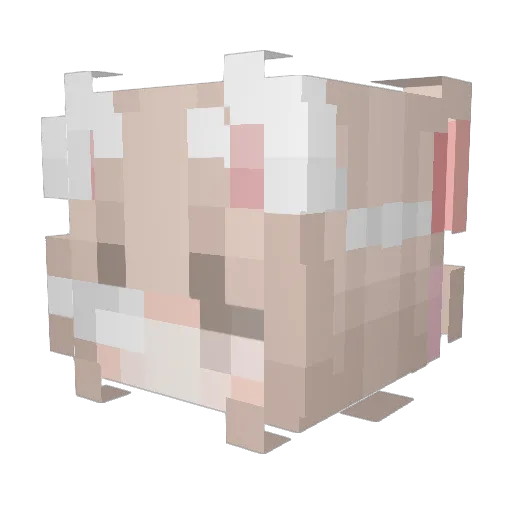 Boaster__ Minecraft avatar head, 3D render