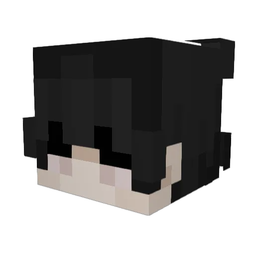 Boat24 Minecraft avatar head, 3D render