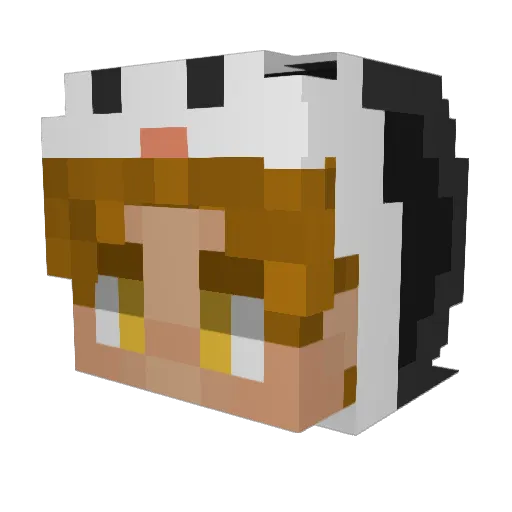 Boaten Minecraft avatar head, 3D render