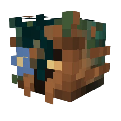 Boatny Minecraft avatar head, 3D render