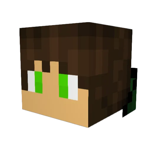 Bob0510 Minecraft avatar head, 3D render