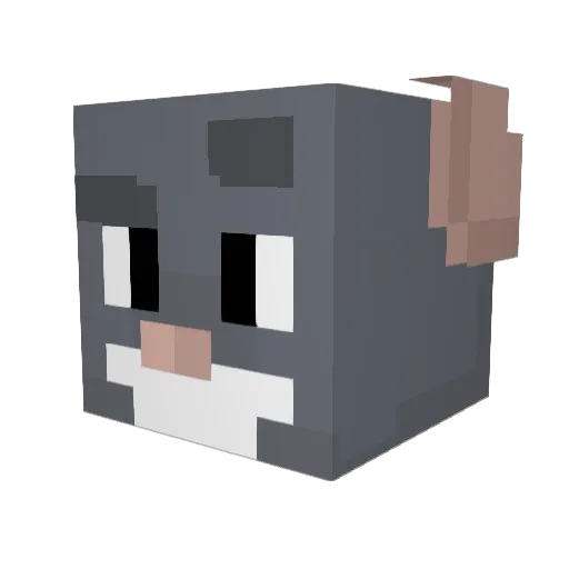 Bob1852 Minecraft avatar head, 3D render