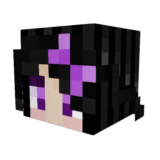 BobCat1414 Minecraft avatar head, 3D render