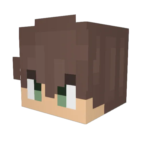 BobFighter Minecraft avatar head, 3D render