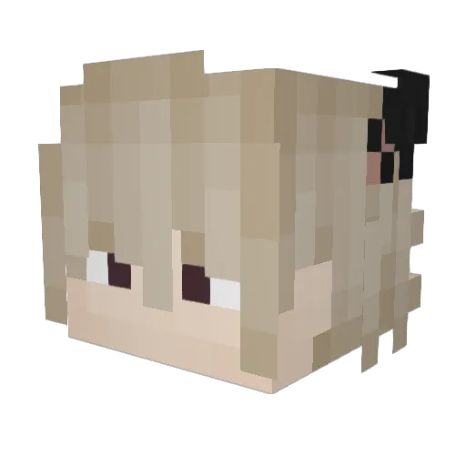 Bob_0001 Minecraft avatar head, 3D render