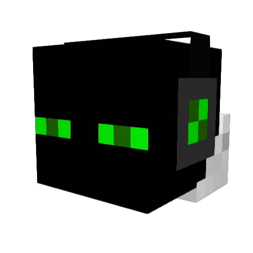 Bob_Bobson22 Minecraft avatar head, 3D render