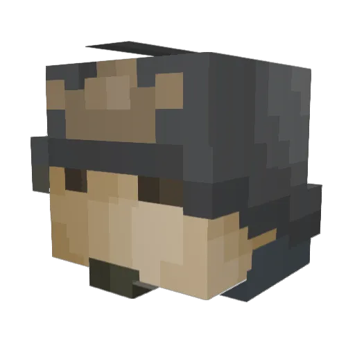 Bob_Helldiver Minecraft avatar head, 3D render