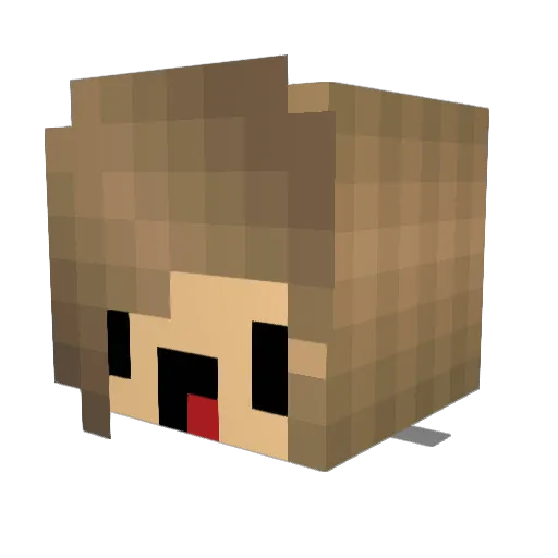 Bob_Unicorn Minecraft avatar head, 3D render