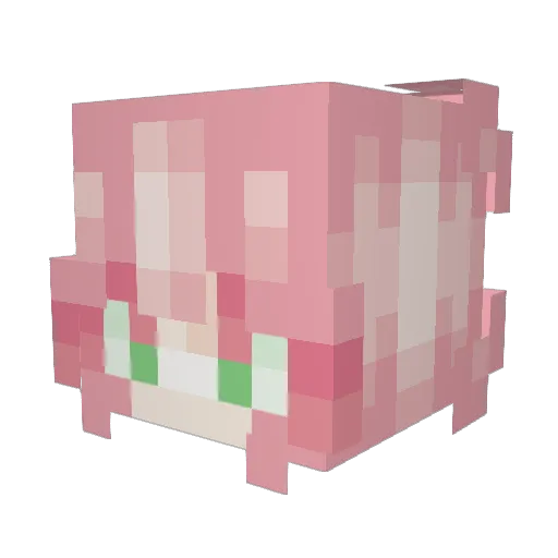 Bob_plays Minecraft avatar head, 3D render