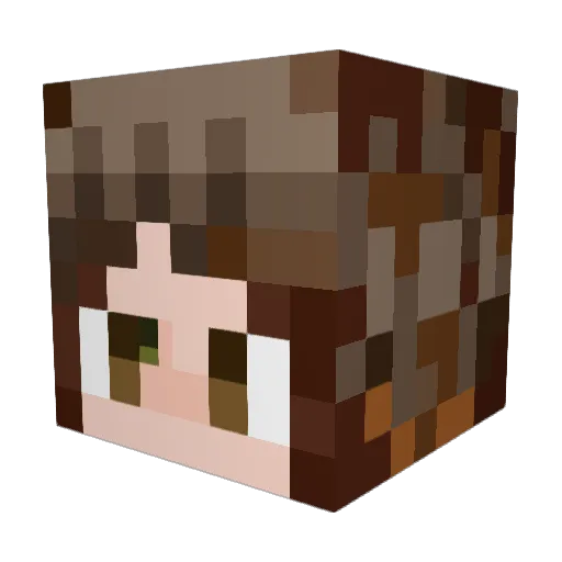 Boba4eva Minecraft avatar head, 3D render