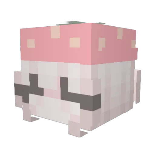 BobaBee8 Minecraft avatar head, 3D render