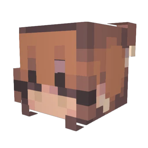 BobaBunny11 Minecraft avatar head, 3D render