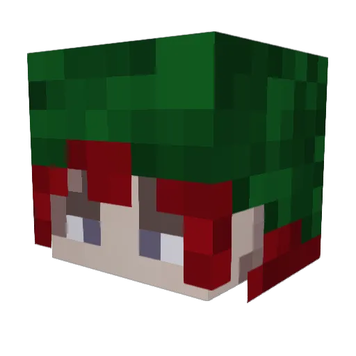 Boba_ends Minecraft avatar head, 3D render